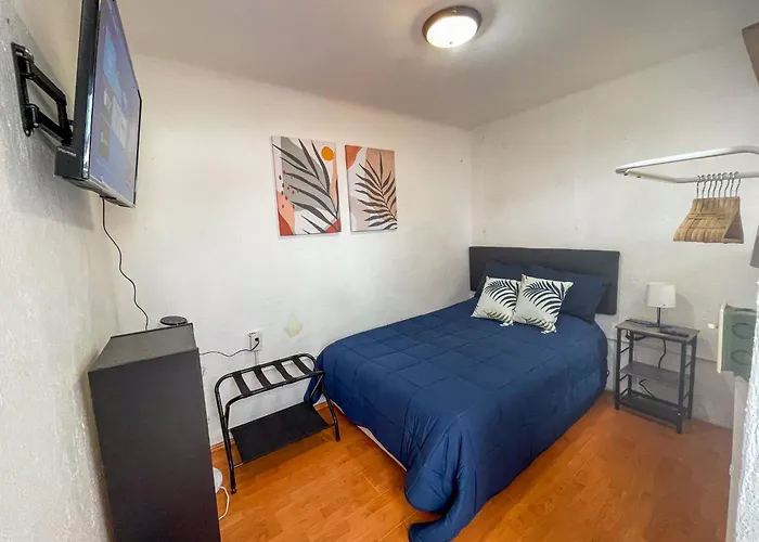 Apartment Charming 2br Vintage Terrace In Condesa