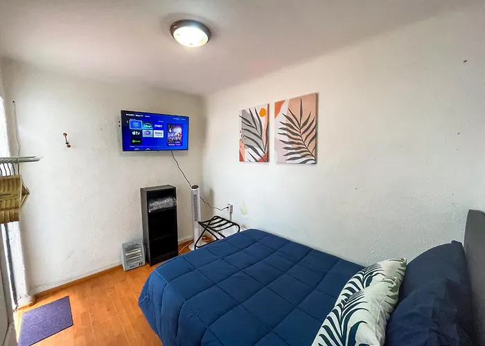 Charming 2br Vintage Terrace In Condesa Mexico City